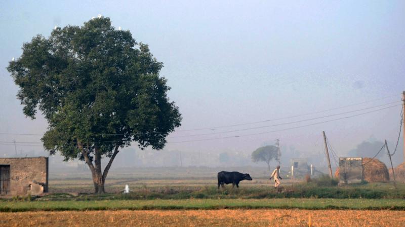 Punjab Air Quality News (Image PTI) Punjab Air Quality News (Image PTI)
