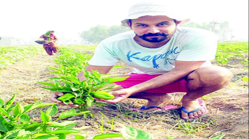 Farmer Satveer Singh