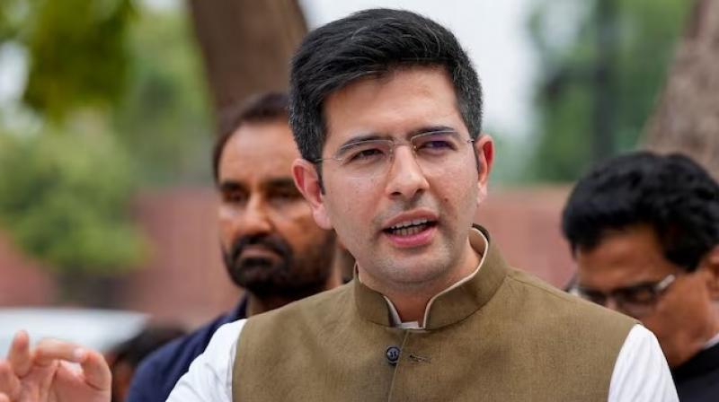 Raghav Chadha Raghav Chadha
