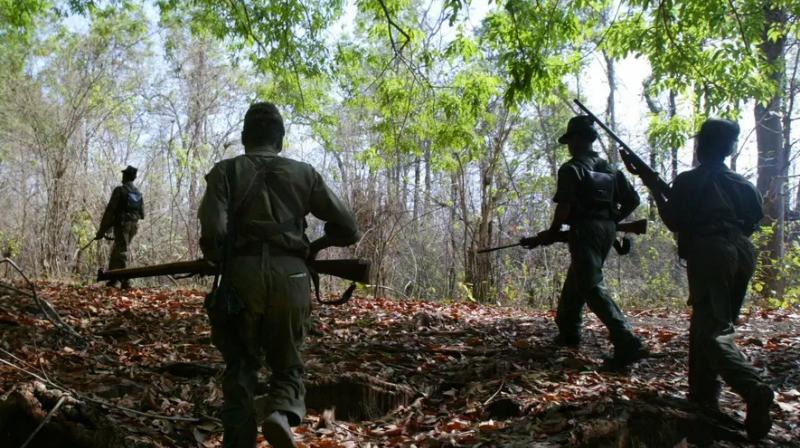 Pakistani army rifles recovered from naxalites in Kanker Pakistani army rifles recovered from naxalites in Kanker