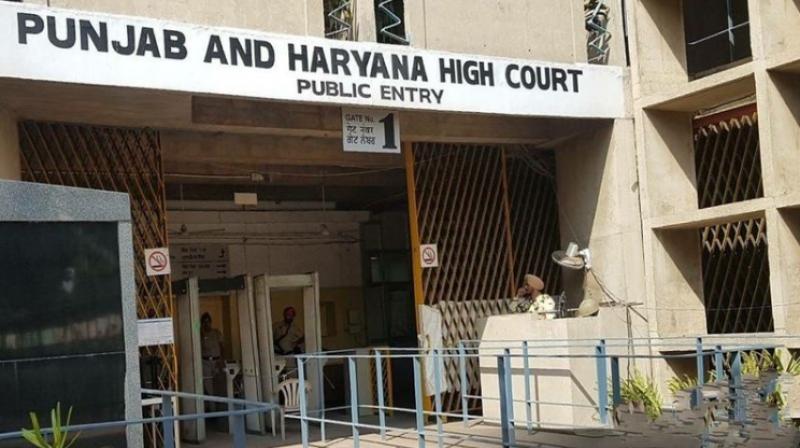 Punjab and Haryana High Court Punjab and Haryana High Court