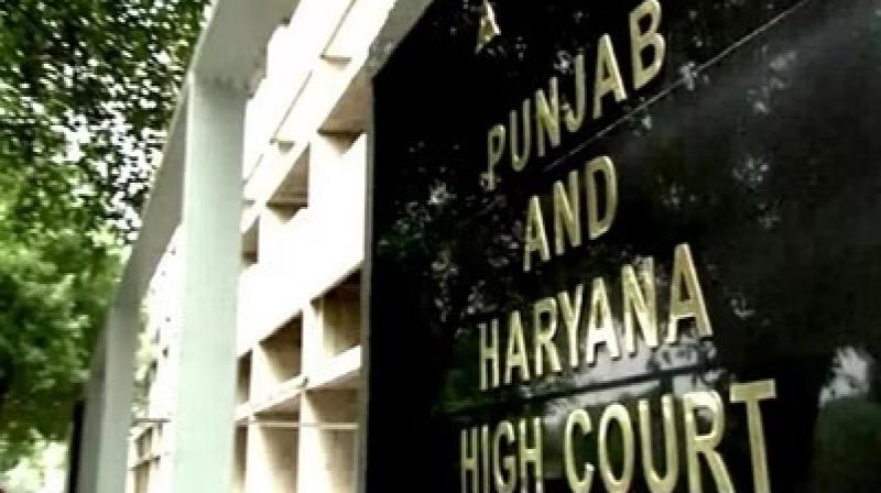 Punjab and Haryana High Court Punjab and Haryana High Court
