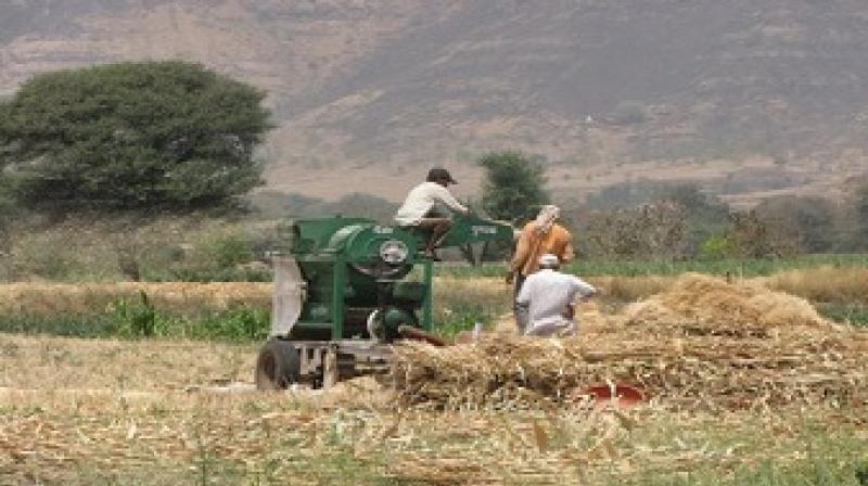 Applications till June 15 - Chief agricultural officer Applications till June 15 - Chief agricultural officer