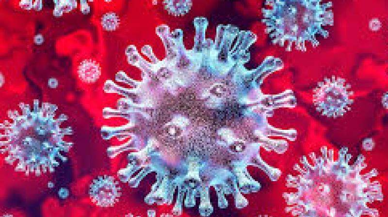 corona Virus corona Virus