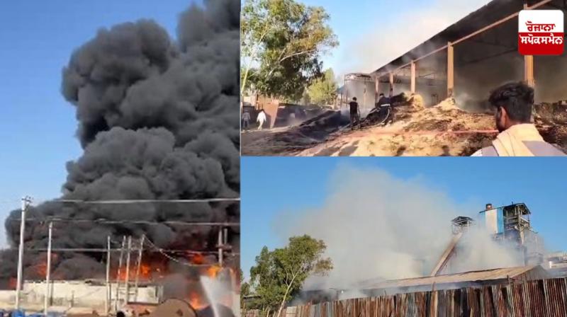 Fire broke out in a sugar mill in Jalandhar Fire broke out in a sugar mill in Jalandhar