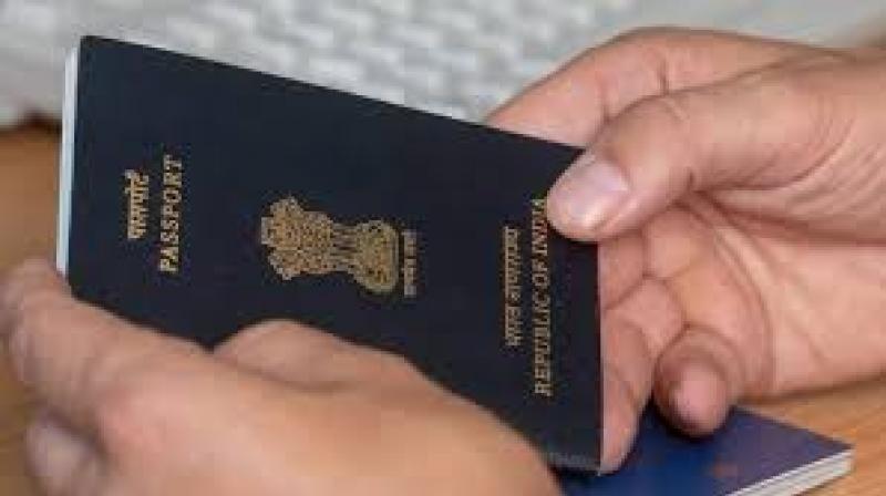 fake passport visa