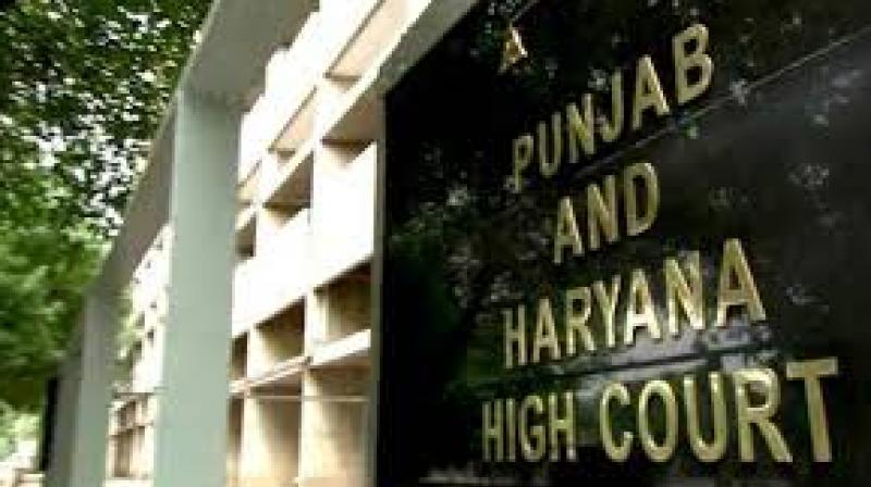 punjab haryana high court punjab haryana high court