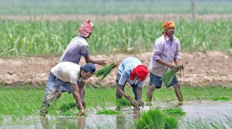 Farmers Farmers