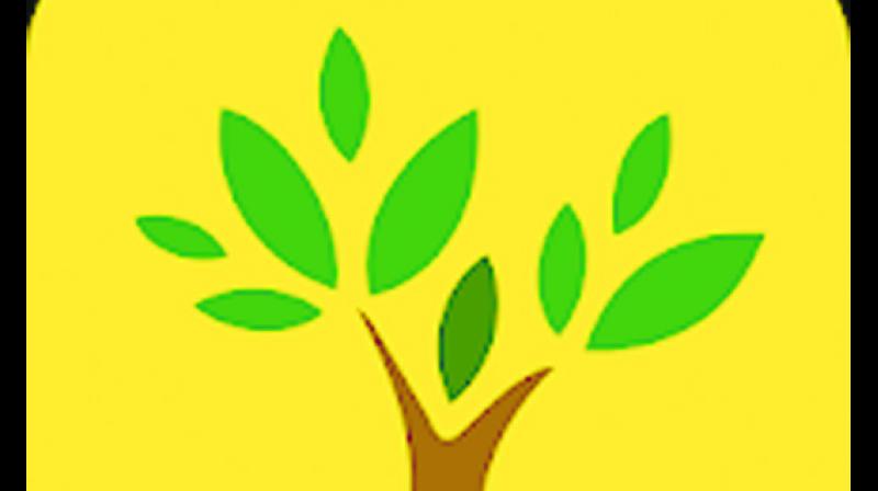 image image