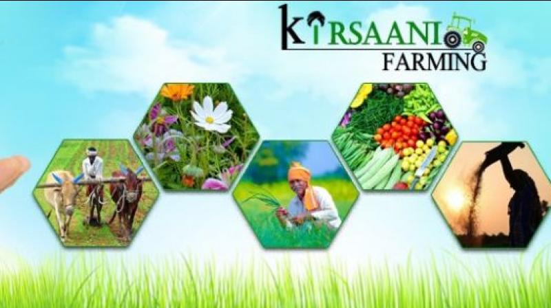 Kirsaani Farming Kirsaani Farming