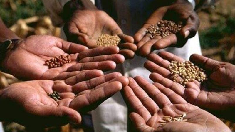 Punjab to put Barcode & QR code to ensure supply of genuine seeds to farmer 