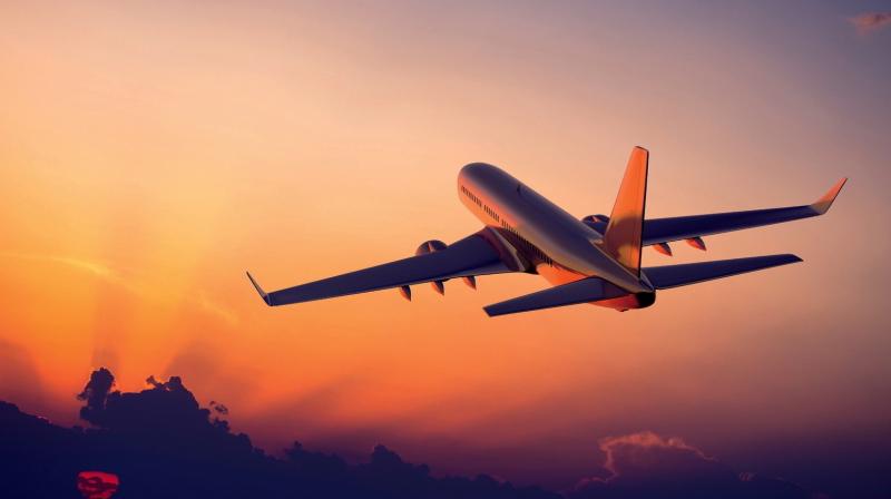 flight flight