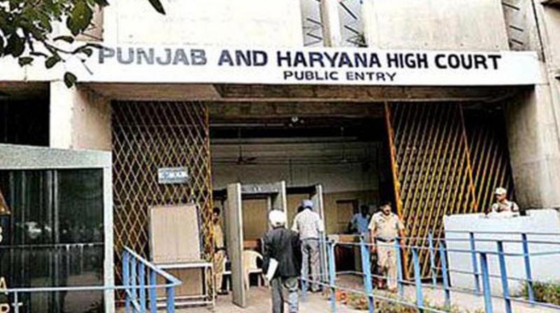 punjab and haryana high court punjab and haryana high court