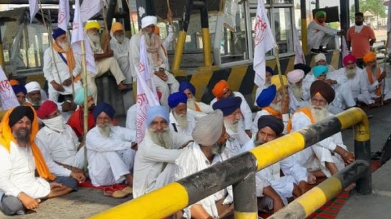 Toll Plaza over agriculture laws Toll Plaza over agriculture laws