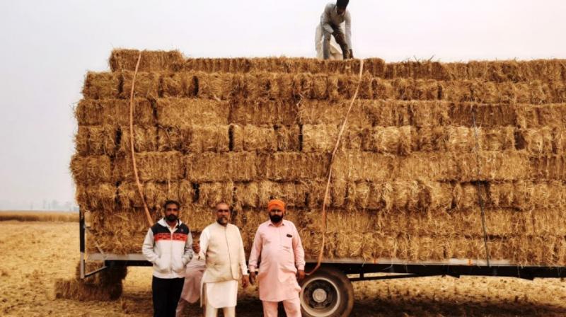 farmer farmer