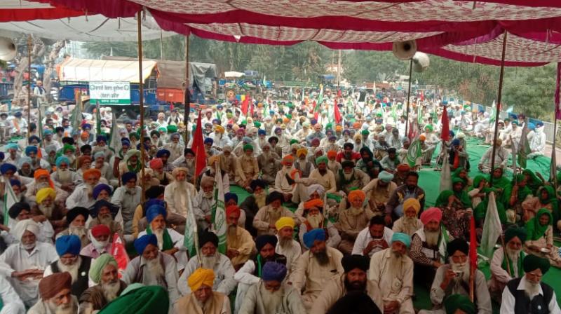 farmer protest farmer protest