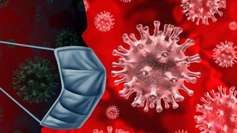 corona virus corona virus