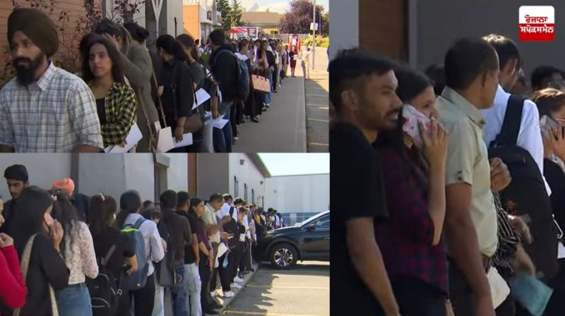 Thousands of Punjabis appeared in the queue to become waiters Canada News Thousands of Punjabis appeared in the queue to become waiters Canada News