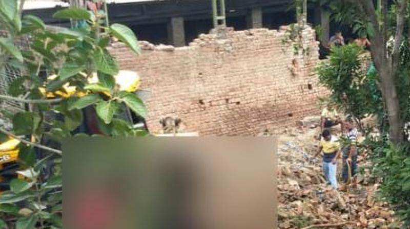 12 buffaloes die in roof collapse of dairy complex in Ludhiana 12 buffaloes die in roof collapse of dairy complex in Ludhiana
