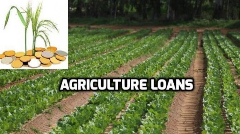 Agriculture Loans