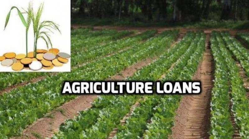 Agriculture Loans Agriculture Loans