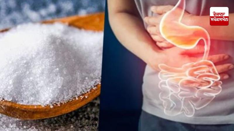 Salt Causes Cancer News in punjabi Salt Causes Cancer News in punjabi