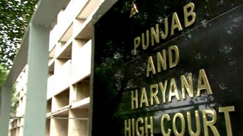 Punjab & Haryana Court