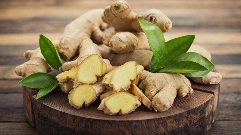 Health news ginger health tips 