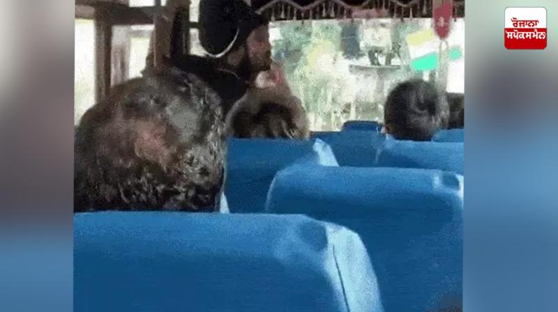Amritsar News: Nihang Singh's commotion in IIM Amritsar campus Amritsar News: Nihang Singh's commotion in IIM Amritsar campus