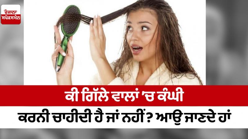 Should wet hair be combed or not? Let's find out
