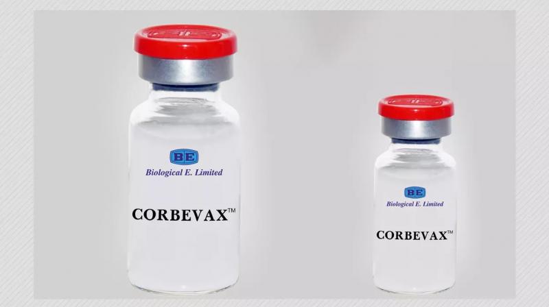  Corbevax Gets Green Light From Drug Regulator As Covid Booster Dose for Adults