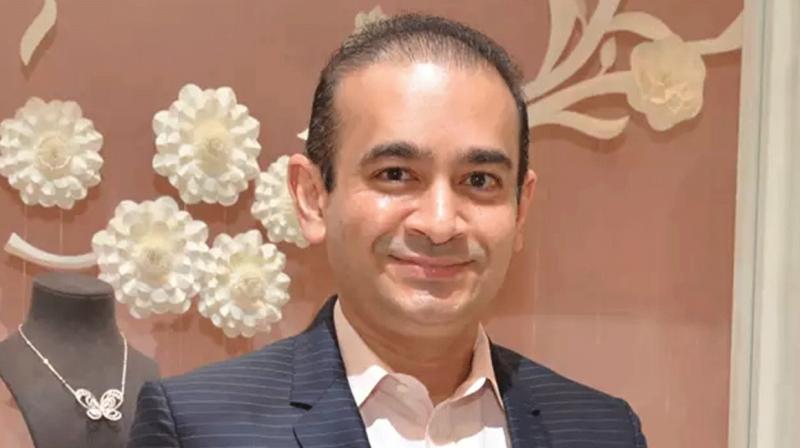 Nirav Modi