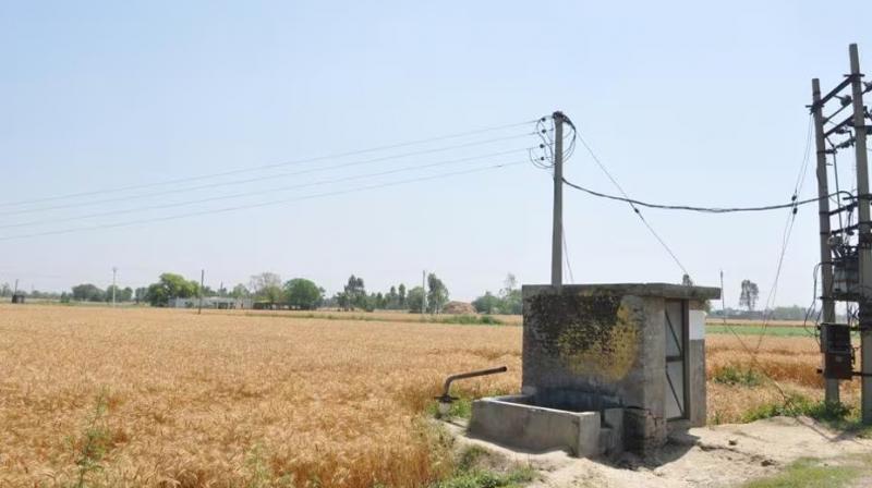 To prevent the crop from catching fire, PSPCL has established a control room