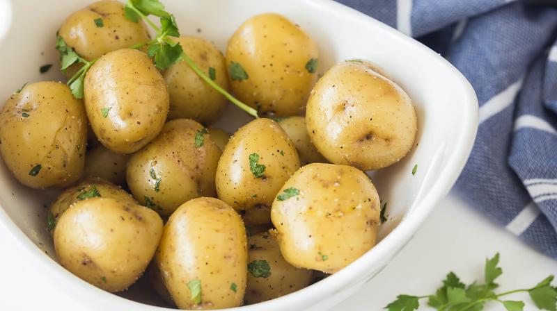 Boiled Potato 
