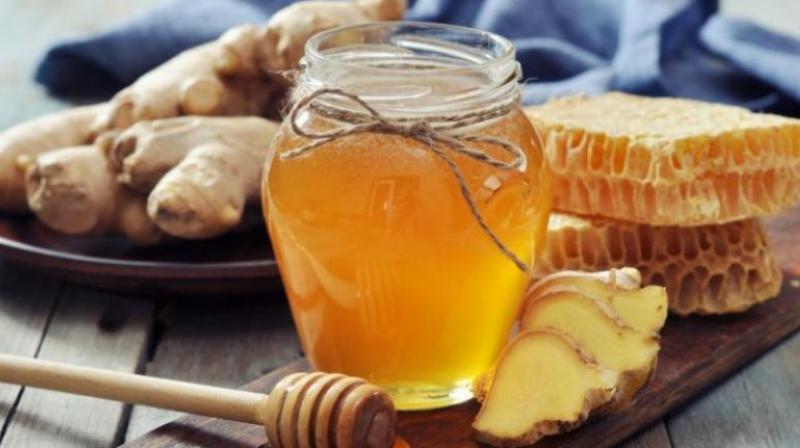 Ginger Benefits Ginger Benefits