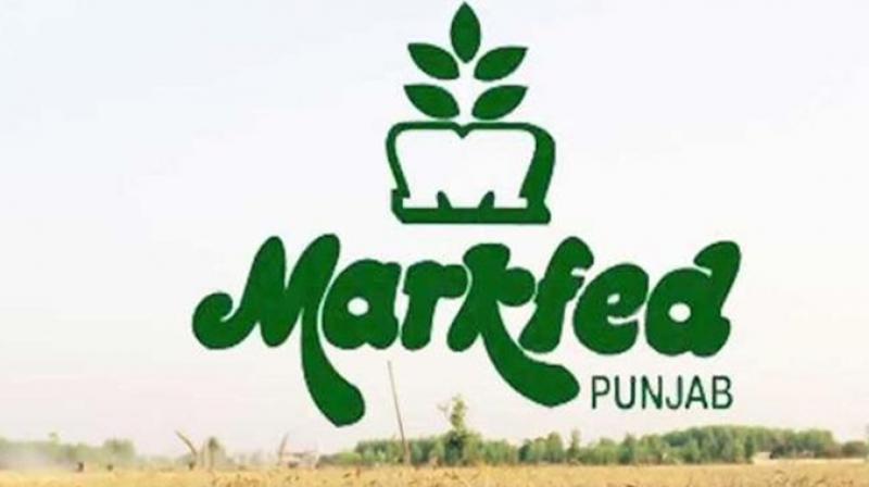 Markfed Punjab