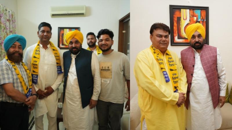 AAP AAP
