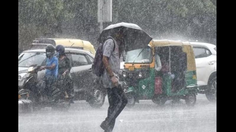 Monsoon Monsoon