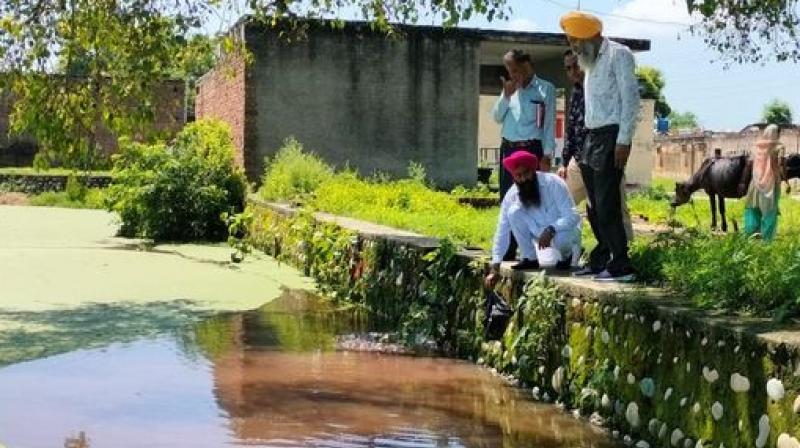 Gambuzian fish left in village ponds by the health department Gambuzian fish left in village ponds by the health department