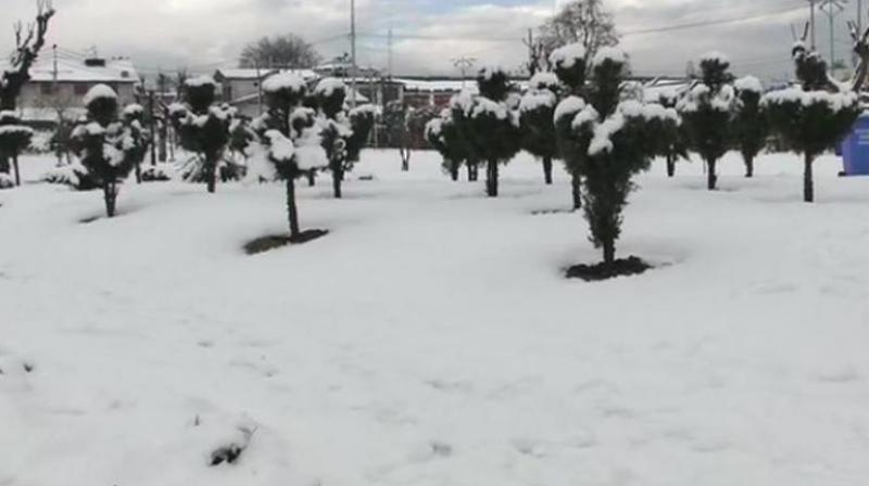 snow snow