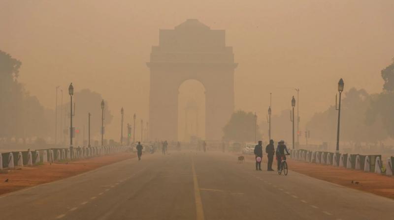 Grape policy implemented in Delhi-NCR, challans of polluting vehicles cut Grape policy implemented in Delhi-NCR, challans of polluting vehicles cut