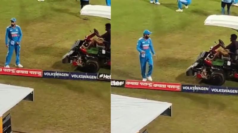 Virat Kohli's Hilarious Reaction After Groundsman Leaves Him Scared On The Field