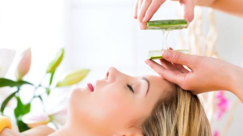 Aloe vera Aloe vera