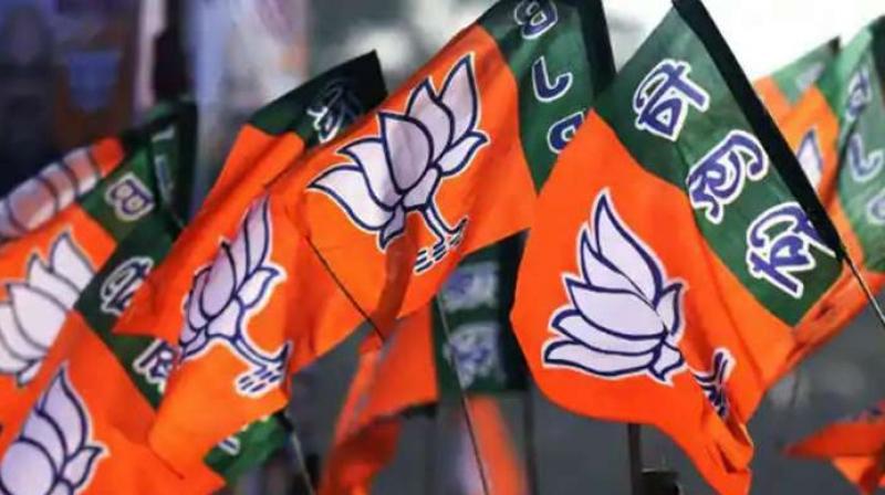 bjp bjp