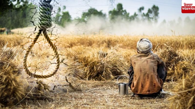 farmer farmer