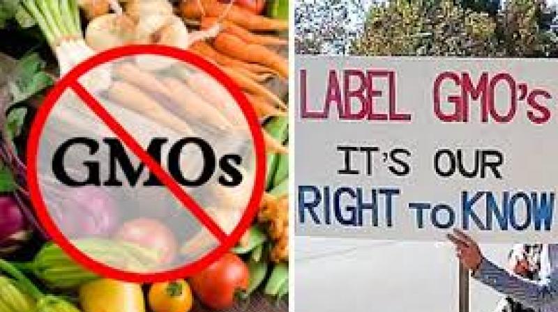 Genetically Modified Food Products Genetically Modified Food Products