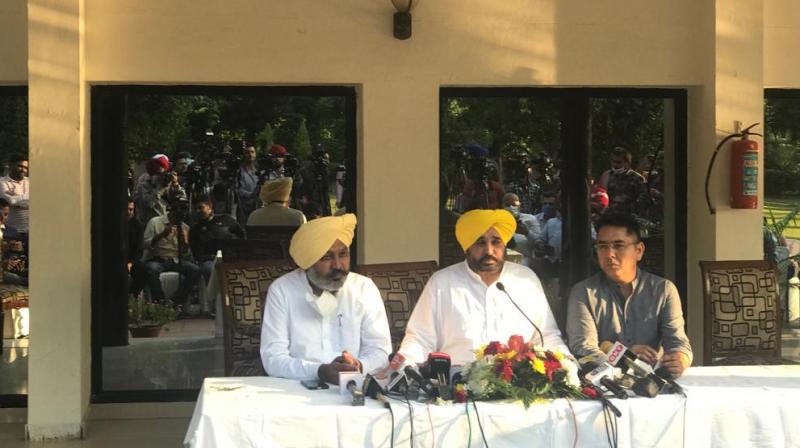 AAP AAP