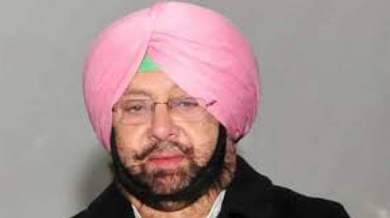 CM Punjab CM Punjab