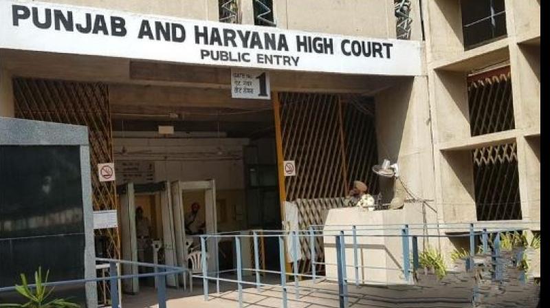 Punjab-Haryana High Court Punjab-Haryana High Court
