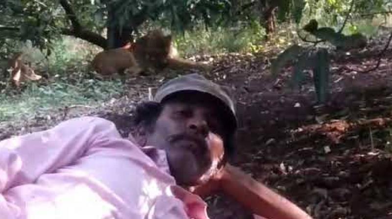 person click selfies with loin person click selfies with loin